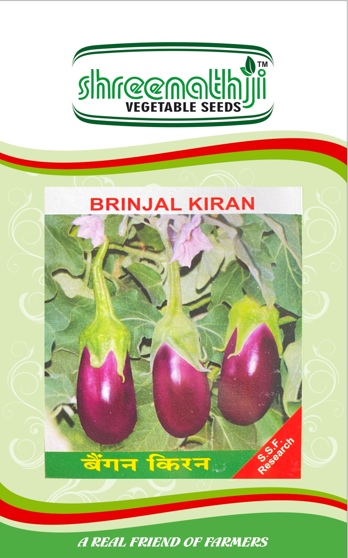 રીંગણ કિરણ